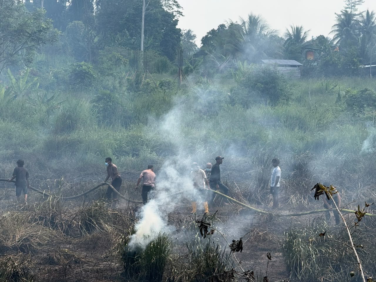 Kemarau Ekstrem, Si Jago Merah Lahap Lahan Kosong di Bintuni